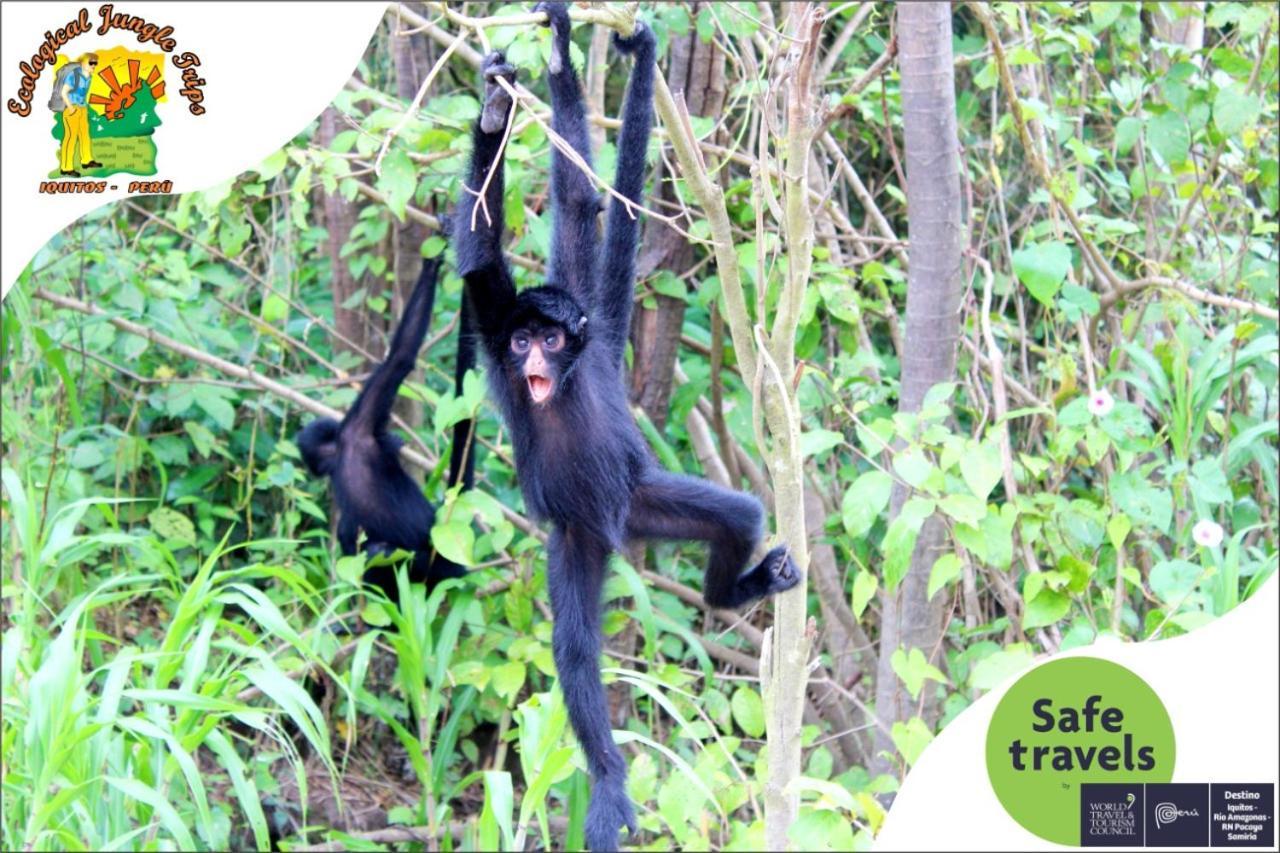 A&T Amazon Backpacker'S Bed & Breakfast Iquitos Ngoại thất bức ảnh